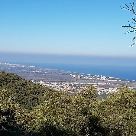 Le Jardin De L'olivier Banyuls-dels-Aspres